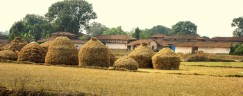 Shergarh Tented Camp: Szene am Dorfrand