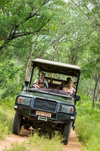 Tembo Plains Camp: Game Drive