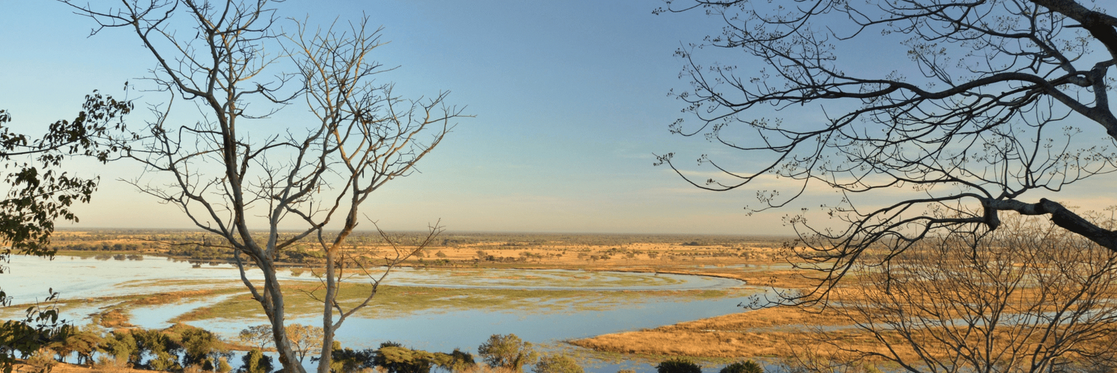 Muchenje Safari Lodge Muchenje Safari Lodge: Flood-Plain-Panorama