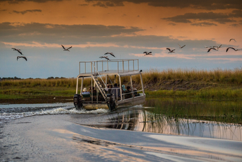 Chobe River Camp: River Safari