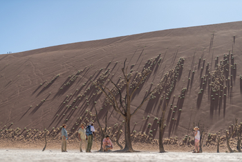 Hoodia Desert Lodge: Lange Schatten in der Schräge