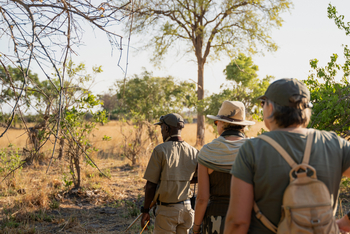 Karangoma Camp: Walking Safari