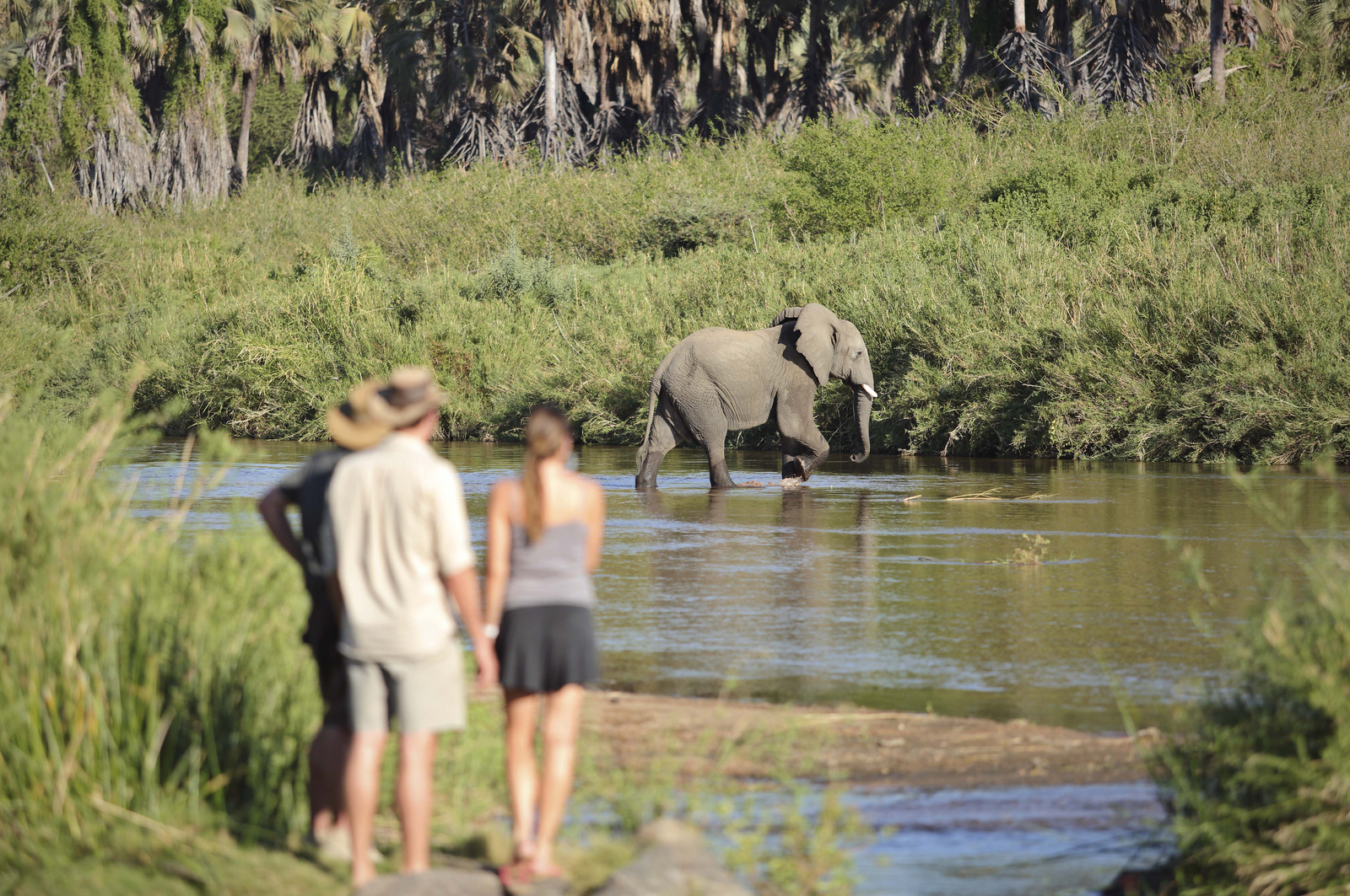 Kichaka Zumbua Camp Kichaka Zumbua Camp: Elefant am Fluss
