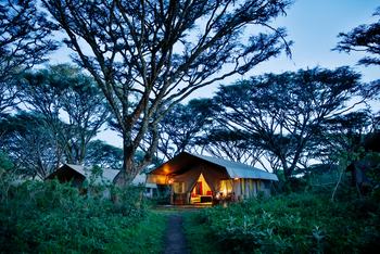 Lemala Ngorongoro Tented Camp: Zelte unter Schirmakazien
