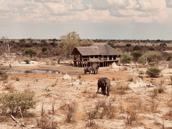 Motswiri Hideaway: Abzug der Elefanten