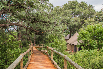 Nambwa Tented Lodge: Erhöhte Stege