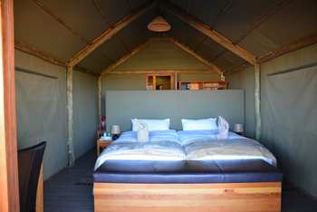 Suricate Tented Camp: Doppelbett