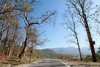 Vanghat: Kosi Valley