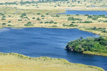 Xugana Island Lodge: Landschaft