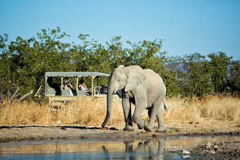 Etosha Heights Game Reserve: Tiere und Landschaft