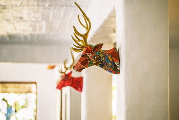 Jamtara Wilderness Camp: Hirschköpfe