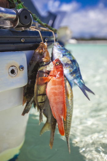 Kinondo Kwetu Kinondo Kwetu: Küche