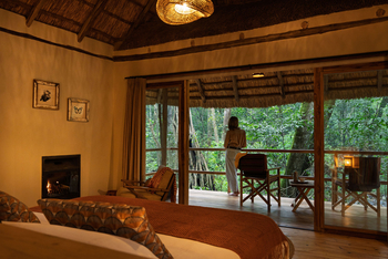 Koroi Forest Camp: Blick aus dem Zimmer