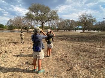 Kutandala Camp: Safari