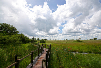 Lebala Camp Lebala Camp: Steg