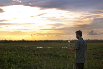 Linyanti Expeditions: Sundowner