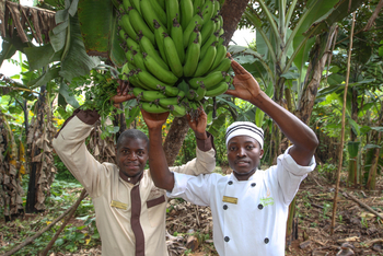 Mahogany Springs Safari Lodge: Koch mit Bananen