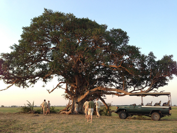 Mukambi Safari Lodge: Pirschfahrt