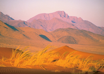 Namib Rand Nature Reserve: Nubibberge