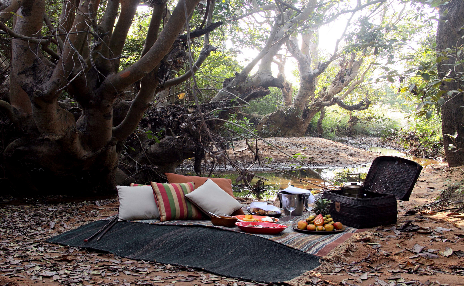 Samode Safari Lodge Samode Safari Lodge: Picknick