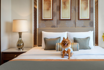 Tajview Hotel: Hundefreundliches Zimmer
