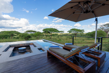 Tarangire Elephant Springs Camp: Liegestühle am Pool