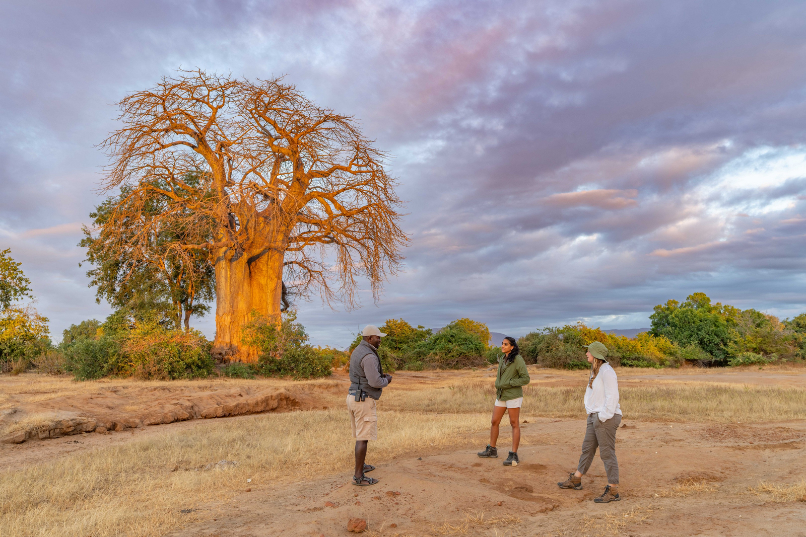 Time + Tide Chongwe Camp Time + Tide Chongwe Camp: Baobab