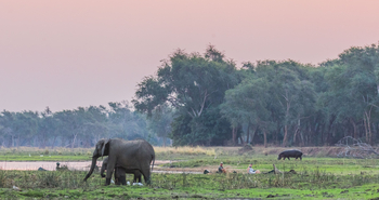 Classic Zambia Safaris Classic Zambia Safaris: Kanu-Safari