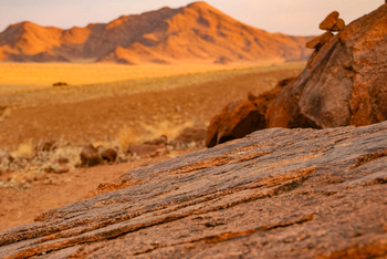 Desert Homestead Lodge Desert Homestead Lodge: Landschaft