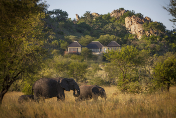 Four Seasons Safari Lodge: Elefanten vor der Lodge