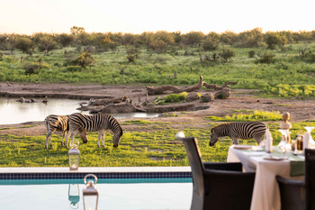 Jamala Madikwe: Abendessen am Wasserloch mit Zebras