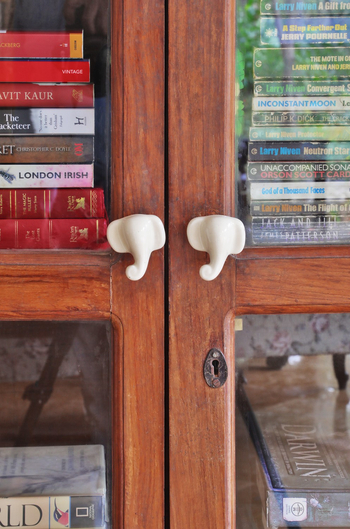 Jim's Jungle Retreat: Library