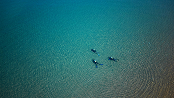 Kaya Mawa Kaya Mawa: Taucher