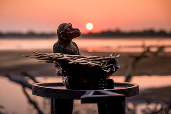 Kulandila Camp Kulandila Camp: Porcupine Quills