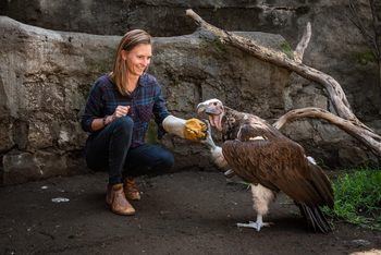 Loldia House: Greifvogelstation