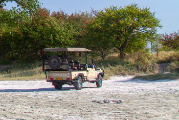 Migration Expeditions Camp Migration Expeditions Camp: Geländefahrzeug auf hartem Pfannenboden