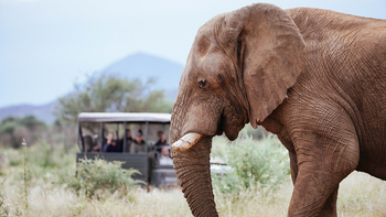 Old Traders Lodge: Aktivitäten