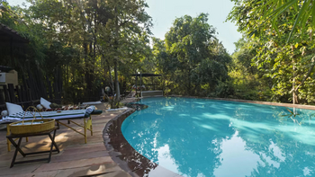 Reni Pani Jungle Lodge: Liegestühle am Pool