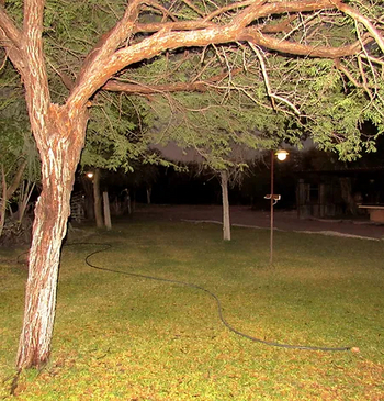 Roy's Restcamp: Rasen