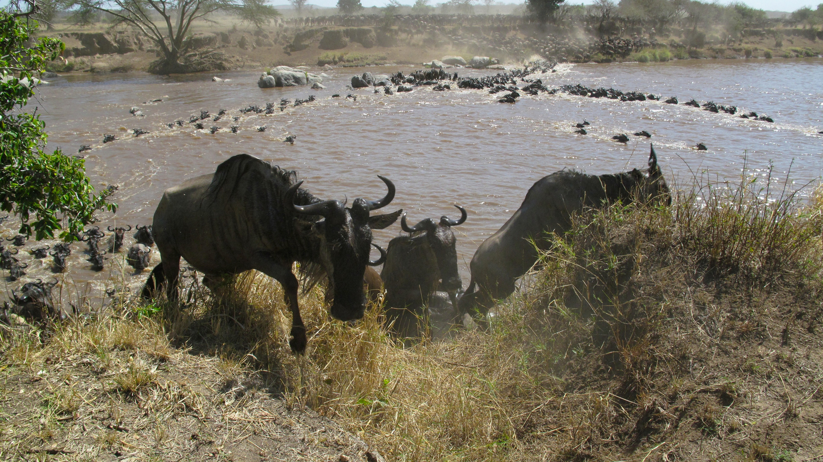 Serian Camps Serian Camps: Crossing