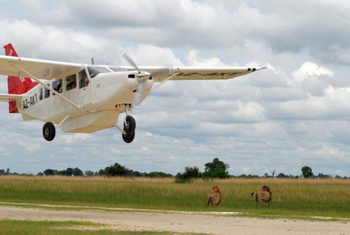 Shinde Lodge Shinde Lodge: Take-off mit Löwen neben der Startbahn