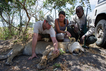 Shumba Camp Shumba Camp: TierärztInnen