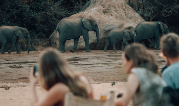 Wayo Manyara Green Camp: Elefanten am Camp