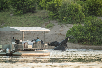 Chobe Game Lodge: Bootsafari