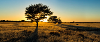 Etosha Heights Game Reserve: Tiere und Landschaft