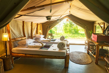 Ikoma Tented Camp: Bett mit Handtüchern und Blütenblättern