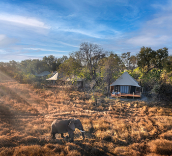 Khwai Lediba Camp: Elefant vor den Gästezelten