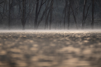 Loldia House: Lake Oloidien
