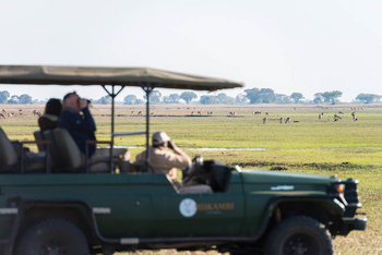 Mukambi Busanga Plains Camp: Game Drive