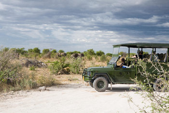 Mushara Game Drive: Löwen und Elefanten